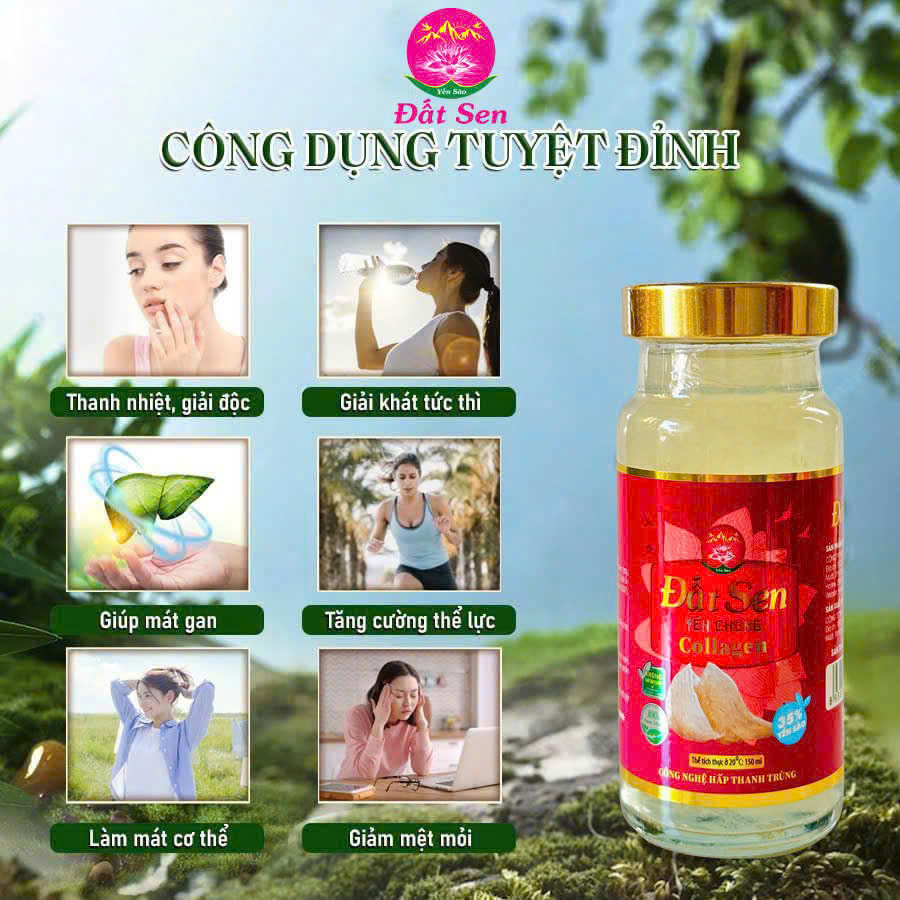 Yến chưng collgen Đất Sen